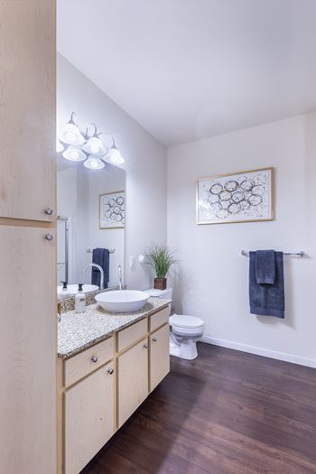 Raised bowl sinks in bathrooms